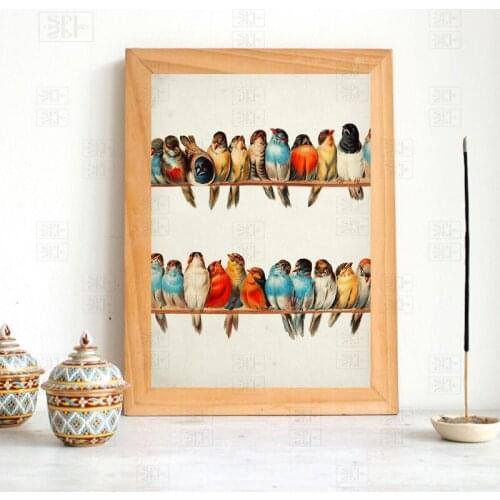 Vintage Bird Poster Retro Wall Art Colorful Bird Illustration Antique Animals Picture Canvas Print Painting Home Decoration