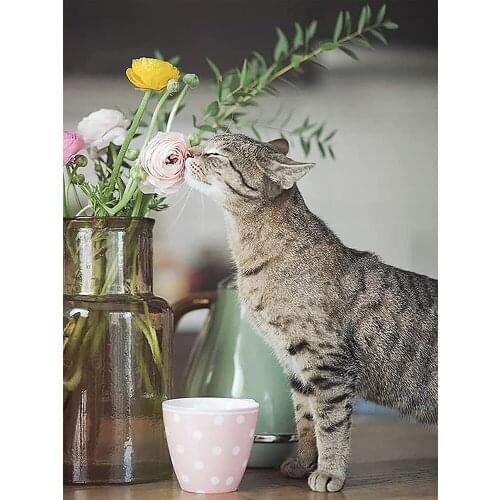 Cat Flower DIY diamond painting cartoon full diamond embroidery cross stitch rhinestone Mosaic painter home decoration