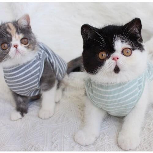 Striped Cat Clothes Summer Pet Clothing for Small Cats Dogs Cotton Cat Costumes Soft Kitten Kitty Coat Jacket Puppy Outfit Pug