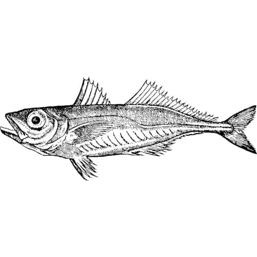 2021 New Retro Ocean Animal Deep-Sea Fish Pattern Clear Stamps For DIY Making Greeting Card Scrapbooking No Metal Cutting Dies