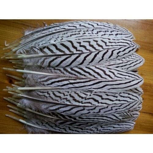 Wholesale Quality 200pcs perfect natural Silver chicken feathers 8-10inch/20-25cm Variety of decorative diy