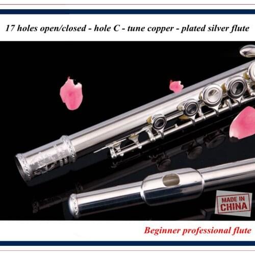 Beginner professional flute, 17 holes open/closed - hole C - tune copper - plated silver flute