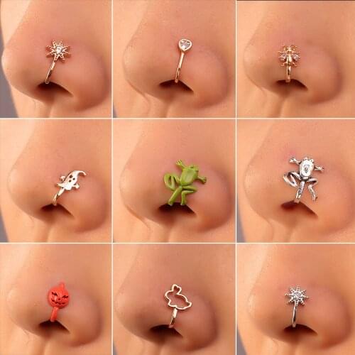 Wanzhi Piercing Earrings
