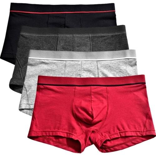 Givanildo Men's Loose Briefs
