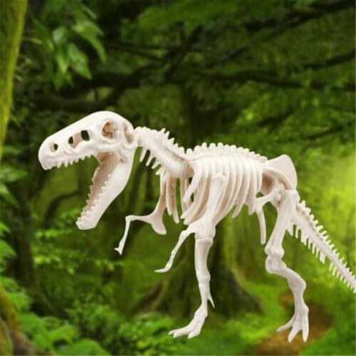 3D Skeleton DIY Assembly Dinosaur Models Plastic Bone Toy Dinosaur Toy DIY Scientific Tyrannosaurus Skeleton Gem Model