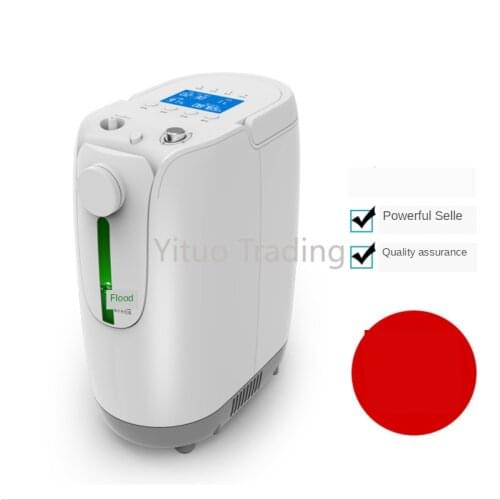 DZ-1B Household 1L Machine Foreign Trade Oxygen Generator Portable Oxygen Machine Elderly Pregnant Women EF