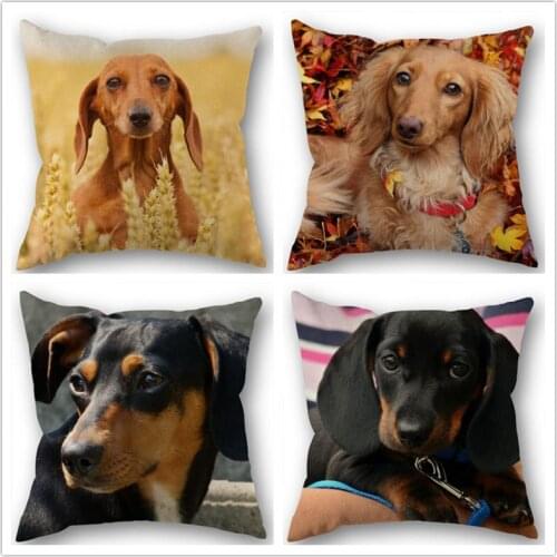 Custom Dachshund Cotton Linen Square Zippered Pillow Cover For Office Family Customize Your Picture 45*45cm