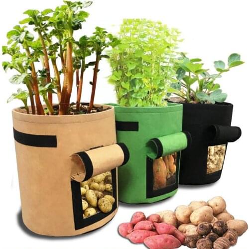 Non-Woven Plant Potato Grow Bag Reusable Highly Breathable Vegetables Grow Pots Felt Planting Bag Flower Planter 5 /7/10 Gallon