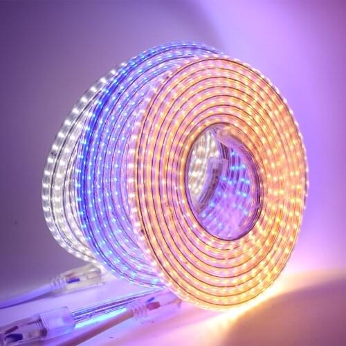 AC 220V LED Strip SMD 3014 120Leds/m Flexible Waterproof Led Ribbon Diode Tape Light White/Warm White With UK Plug Free Shipping