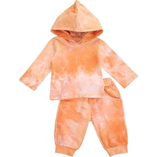 0-3Y Infant Kids Baby Boy Girl Long Sleeve Hooded Sweatshirt Tops Long Pant Trouser 2PCS Outfits Autumn Clothes Set
