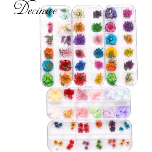 1 Box Dried Flowers Nail Art 3D Dry Flowers for Nails Small Tiny Dried Flowers for Nail Art Little Pressed Real Nail Art Design