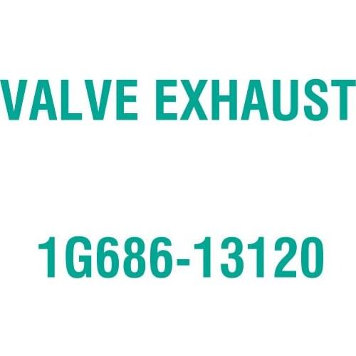 For Kubota 1G686-13120 VALVE EXHAUST