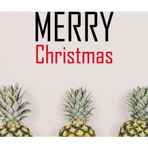 Celebrate Christmas Blessing Festival Holiday Gala Celebration Words Removable Wall Sticker Art Decals Wallpaper for Room Decal