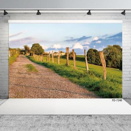 Countryside Field Path Way View Photography Backgrounds Photocall Photo Studio Backdrops for Children Baby Portrait Photophone