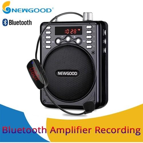Mini Portable Voice Amplifier Bluetooth Speakers Loudspeaker Recording With FM Radio Wireless Microphone For Teachers Tour guide