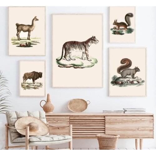Alpaca Squirrel Dolphin Tiger Highland Cattle Nursery Wall Art Canvas Painting Posters And Prints Decor Pictures Baby Kids Room