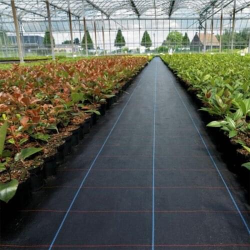100x500cm Anti Grass Cloth Farm-oriented Weed Barrier Mat Black Plastic Mulch Thicker Orchard Garden Weed Control Fabric