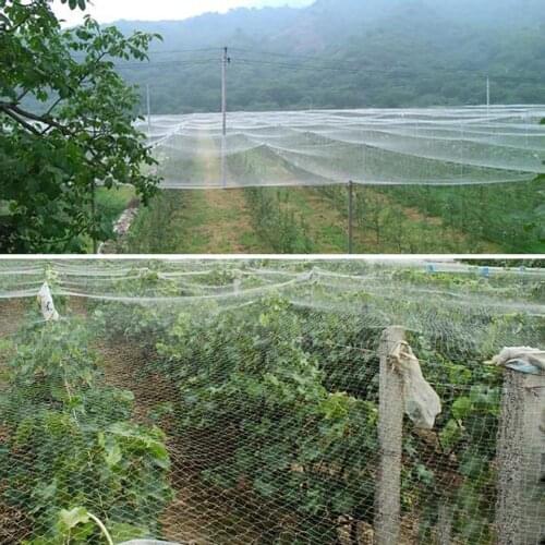 Mesh Orchard Garden Garden Bird - Proof Net 1.5cm Net Hole Orchard Garden Park Bird-Preventing Net