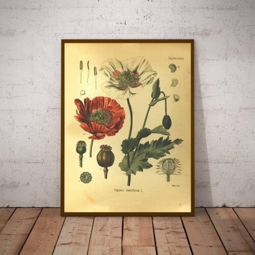 5D DIY square round Diamond Painting Poppy flower Cross Stitch Diamond Embroidery Pattern Rhinestone home decor J0587