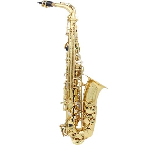 Brass Eb Alto Saxophone Sax Lacquered Gold Woodwind Instrument with Carry Case Gloves Cleaning Cloth Brush Sax Strap