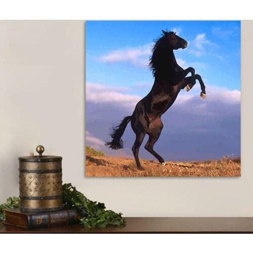 DIY digital paint by numbers Horse wall pictures for living room modular painting home decor wall art