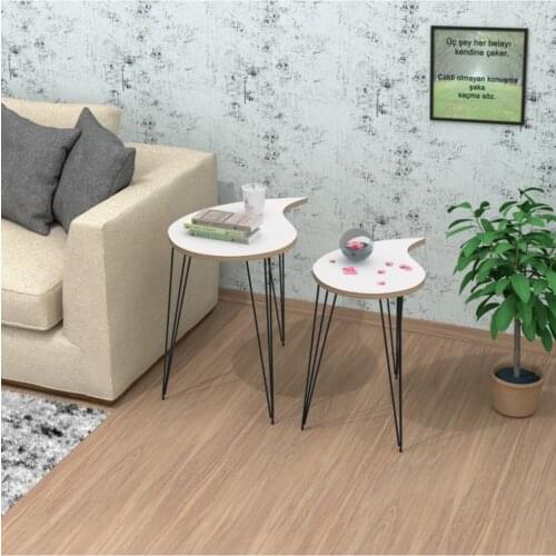 Modern White Larose Zigon Coffee table 1 Li 55x40x40 coffe table
