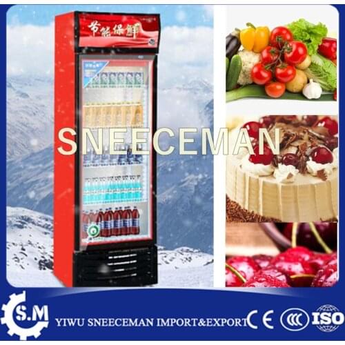 338L Refrigerated Vertical Beverage Display Cabinet