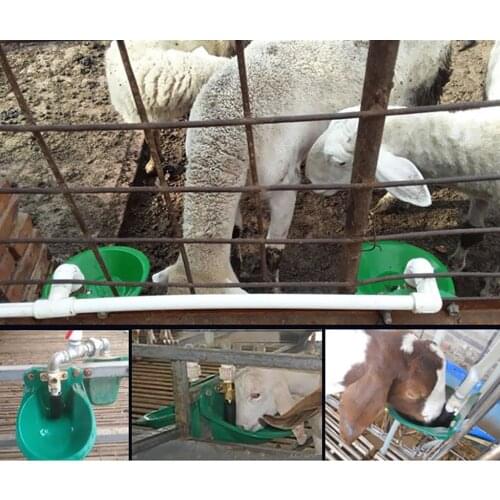 Automatic Sheep Water Bowl Goat Calves Cattle Pig Dog Piglets Drinker Waterer Tool