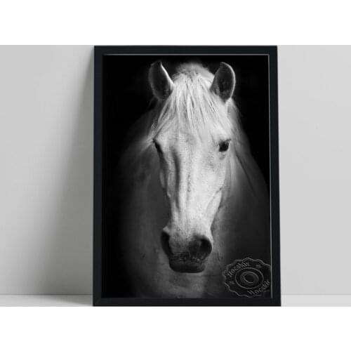 Black And White Horse Prints, Vintage Animal Portrait Poster, Minimalism Scandi Wall Art, Living Room Home Decor, Birthday Gift