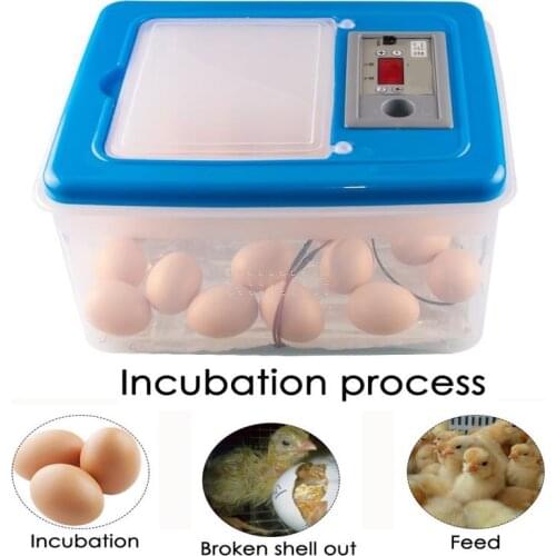 Mini 32 Egg Incubator Poultry Incubator Brooder Digital Temperature Hatchery Egg Incubator Hatcher Chicken Duck Bird Pigeon