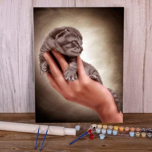 Cat Animals DIY Paint By Numbers Complete Kit Oil Paints 40*50 Canvas Pictures Home Decoration For Kids For Wholesale