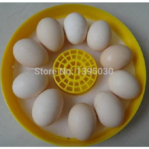 Egg Chicken Bird Incubator 10 Eggs Hatching Machine Automatic Intelligent Temperature Control Quail Parrot Brooder JANOEL-10