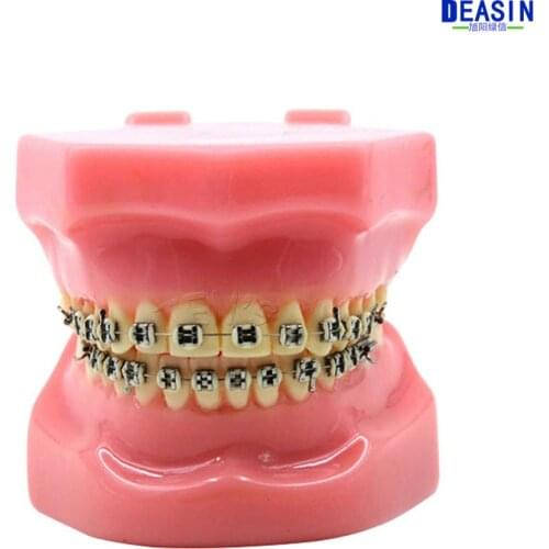 High Quality Dental Orthodontics Typodont Teeth Model Metal Brace bracket Typodont with Arch Wire