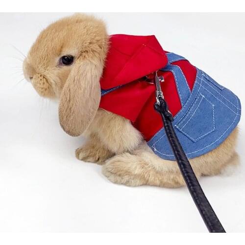 Miss Doggy Travel Vests