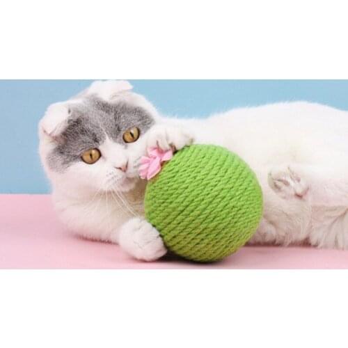 Pet Cat Toys Wear-Resistant Woven Sisal Scratching Post Scratcher Board Scratch Cactus Ball Pet Interactive Toy Pet Supplies