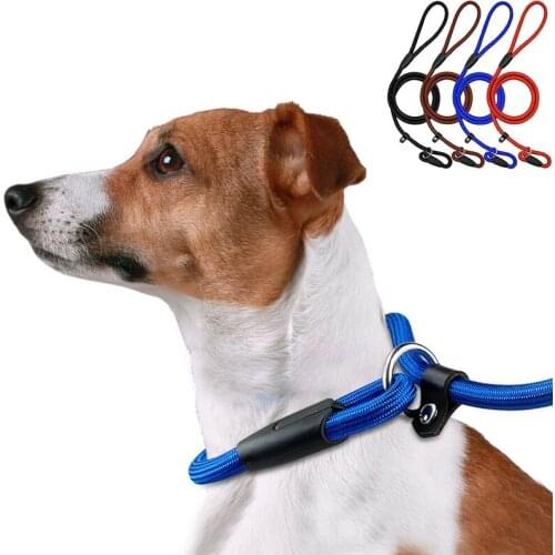Dog Training Leash Slip Pet Dog Nylon Rope Lead Strap Adjustable Traction Collar Nylon Rope Training Leash