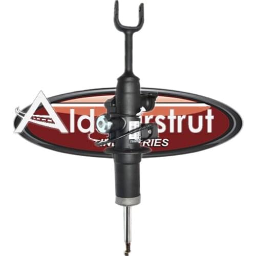 Front Left / Right Shock Absorber Strut For BMW 7 Series F01 F02 Electronic Controlled Suspension 37116796925 37116796926