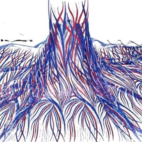 African Lace Fabric Brocade Lace Embroidery Nigerian Sequins Lace Fabrics French Mesh Lace Fabric Sew For Women Wedding Party