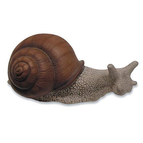 Bonfante snail big