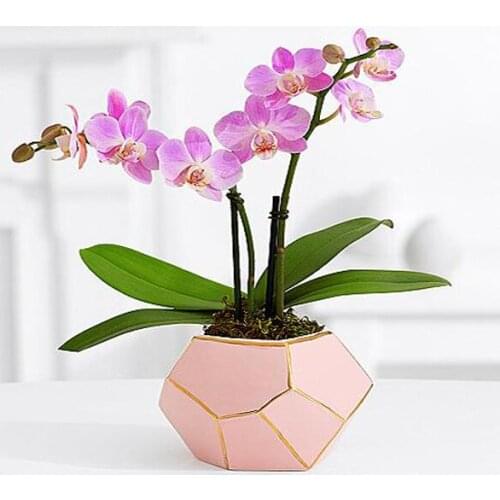 Diamond Pink Ceramic Vase Home Decoration Vase