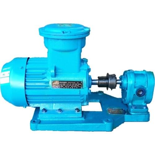 Good Price Small Lube Oil Waste Oil Transfer Pump With Exproof Motor