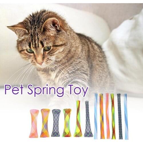 12Pcs Plastic Flexible Colorful Cat Spring Toys Pet Interactive Playing Toy for Cat Kitten Training Funny Toys Cat Products