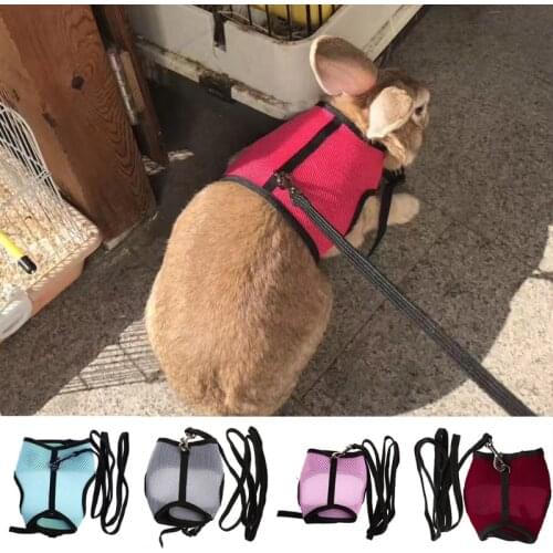 Hamster Rabbit Mesh Harness Leash Ferret Small Animal Pet Walk Lead