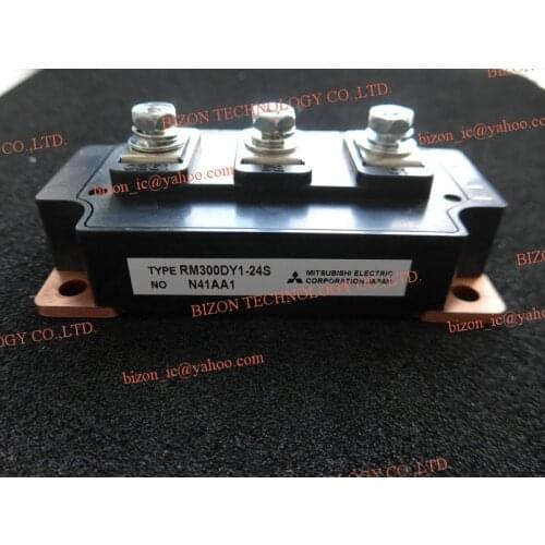 RM300DY1-24S