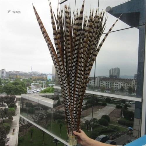 Wholesale 50Pcs/Lot 90-100CM Natural Rare Reeves Pheasant Tail Feathers High Quality Wedding Decorations Pheasant Feather plume