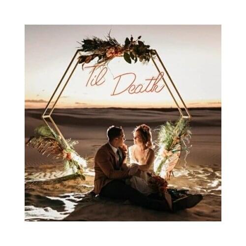 Hot Wedding Props Geometric Iron Double-Pole Hexagon Arch Gold Stand Party Backdrop Deco Outdoor Lawn Layout Artificial Flower S