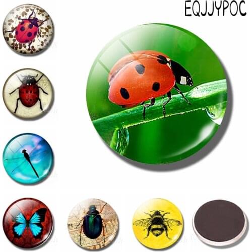 Ladybug Fridge Message Magnets Red Insect Refrigerator Magnetic Holder Natural Creature 30 MM Glass Cabochon Magnetic Sticker