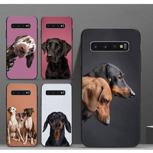 Cute Dachshund dog Phone Case For Samsung galaxy S 8 9 10 20 21 30 A 30 50 51 70 note 10 plus Ultra 5g
