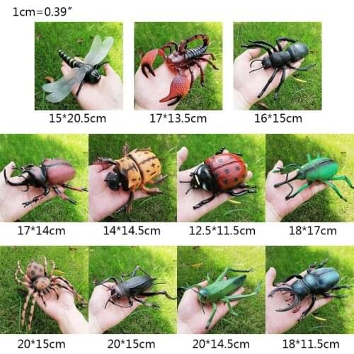 1 Pc Simulation Wildlife Model Ornaments Realistic Insect Figure Children Educational Props Scene Decoration Kids Learning