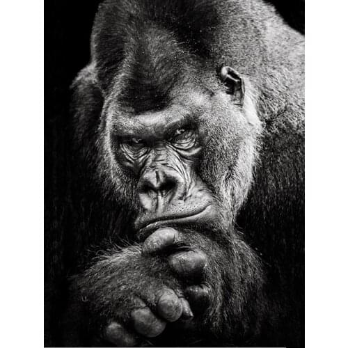 5d Diy Diamond Painting Animal Diamond Mosaic Gorilla Square Diamond Embroidery Cross Stitch Needlework Home Decoration
